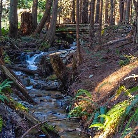 Forest Haven Hideaway Roberts Creek Экстерьер фото