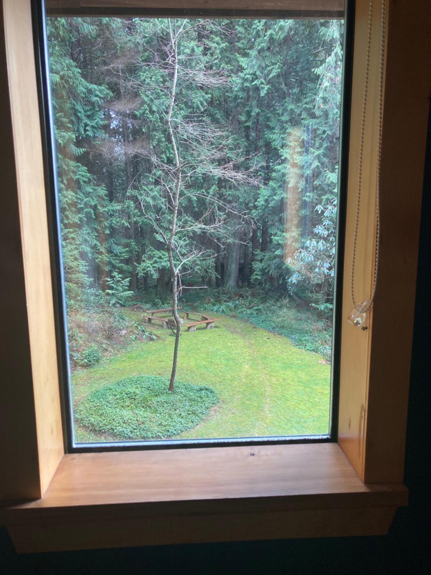 Forest Haven Hideaway Roberts Creek Экстерьер фото